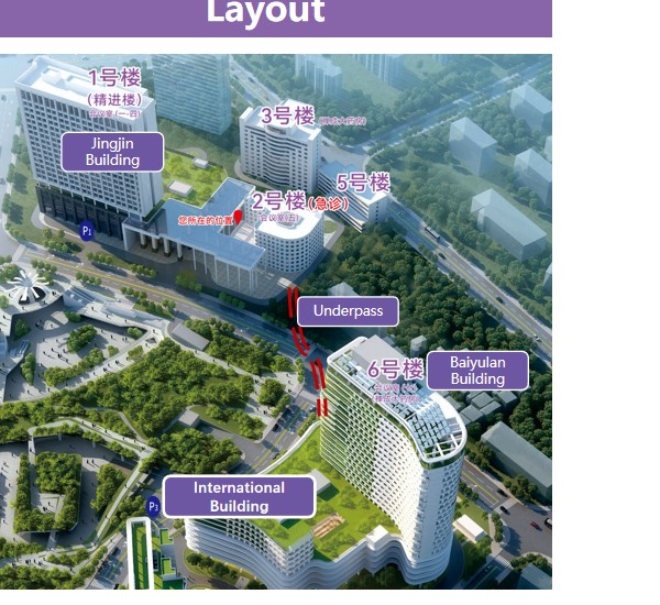Aerial view of the Foshan Fosun Chancheng Hospital campus showing the international building