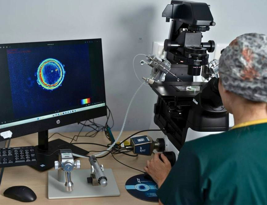 An embryologist at SAGA Clinic viewing an egg on a monitor beside the microscope