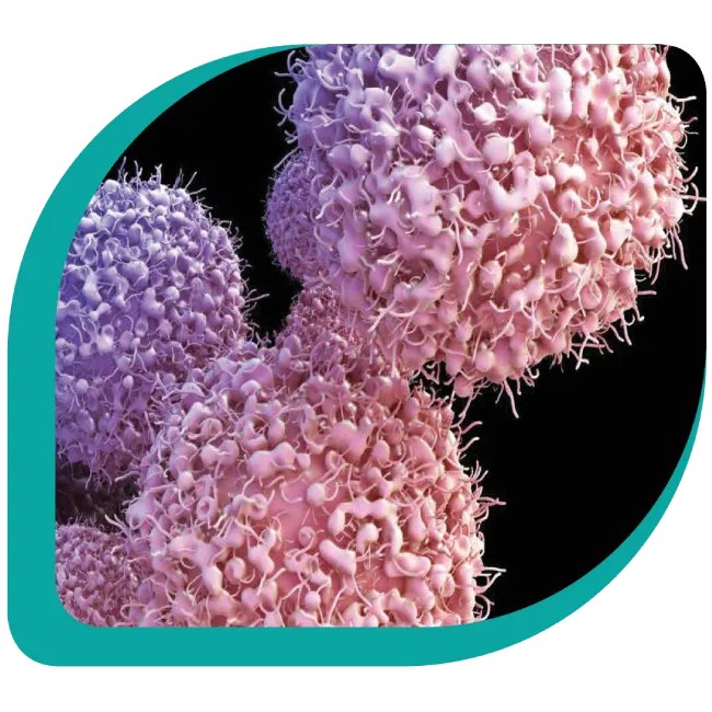 Taskin BioRegeneration